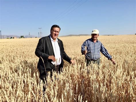 İthal buğdayı işleyip dünyaya satıyorlar Yeni Mesaj